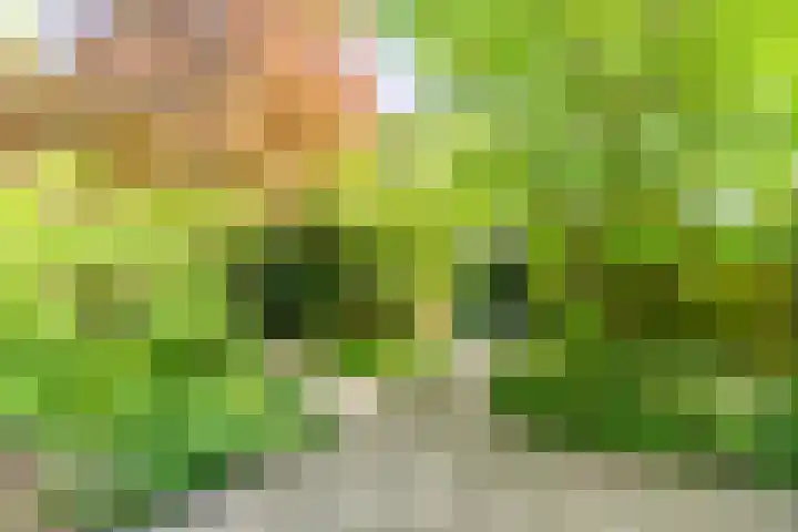 Magalhaesstraat 12 Geldrop thumbnail 42