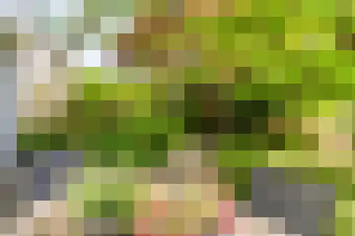 Magalhaesstraat 12 Geldrop thumbnail 43