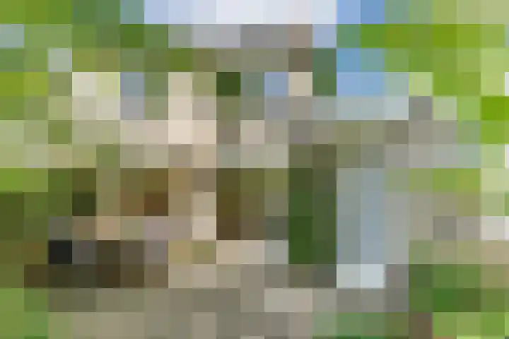 Magalhaesstraat 12 Geldrop thumbnail 44