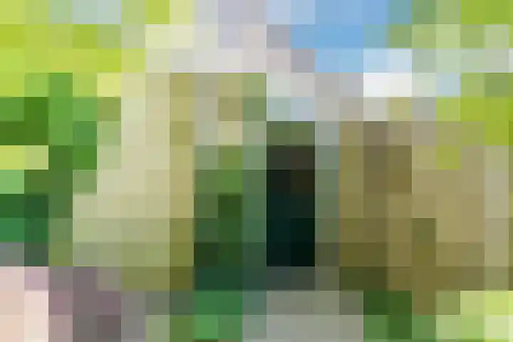 Magalhaesstraat 12 Geldrop thumbnail 45