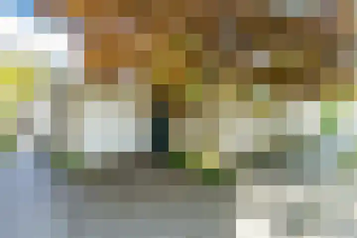Magalhaesstraat 12 Geldrop thumbnail 47