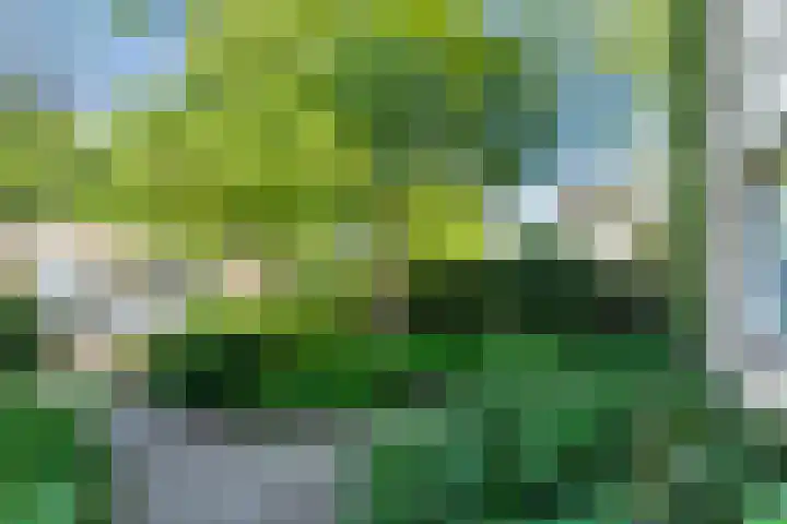 Magalhaesstraat 12 Geldrop thumbnail 49