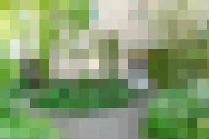 Magalhaesstraat 12 Geldrop thumbnail 5
