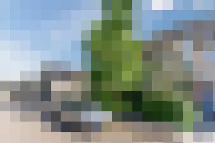 Magalhaesstraat 12 Geldrop thumbnail 50