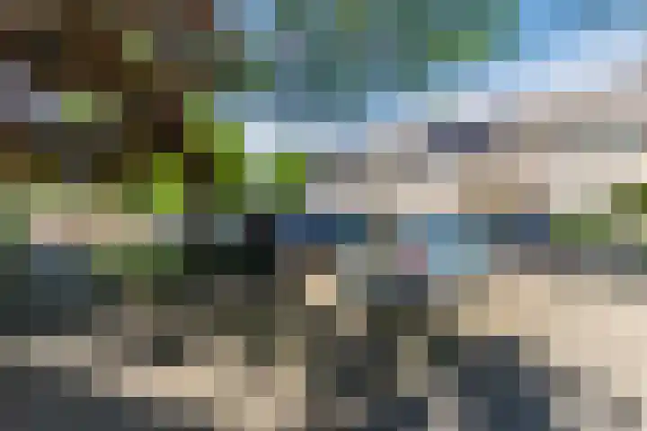 Magalhaesstraat 12 Geldrop thumbnail 53
