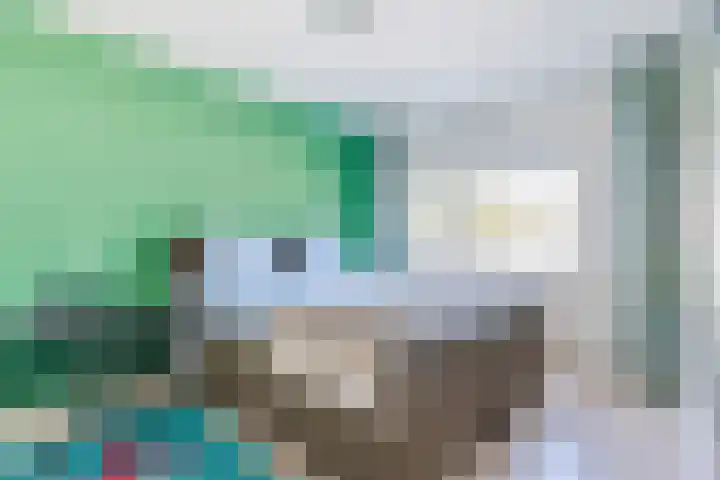 Magalhaesstraat 2 Geldrop thumbnail 20