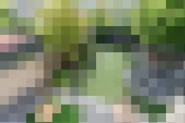 Magalhaesstraat 2 Geldrop thumbnail 28