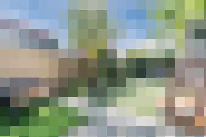 Magalhaesstraat 2 Geldrop thumbnail 29