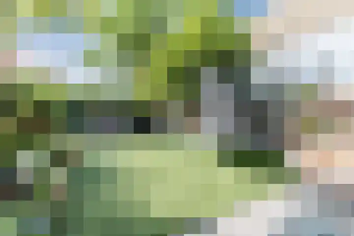 Magalhaesstraat 2 Geldrop thumbnail 30