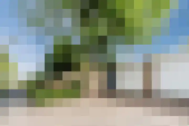 Magalhaesstraat 2 Geldrop thumbnail 33