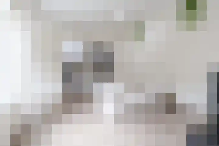 Magalhaesstraat 3 Geldrop thumbnail 10