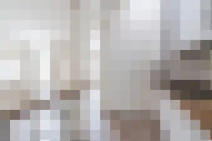 Magalhaesstraat 3 Geldrop thumbnail 11