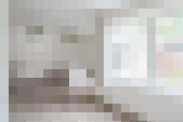 Magalhaesstraat 3 Geldrop thumbnail 15