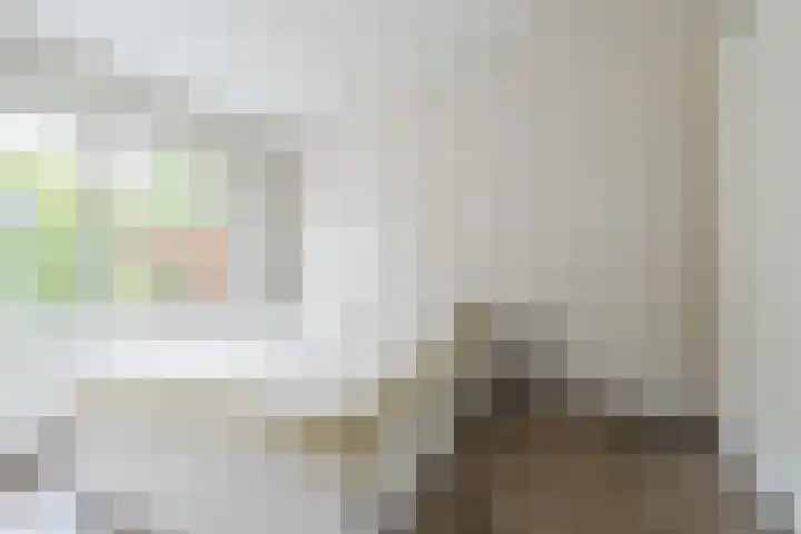 Magalhaesstraat 3 Geldrop thumbnail 16