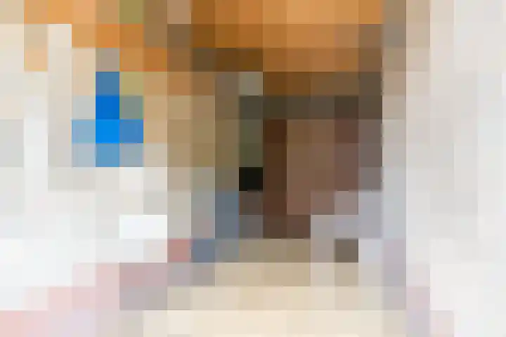 Magalhaesstraat 3 Geldrop thumbnail 22
