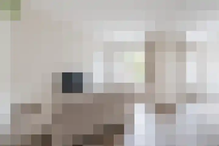 Magalhaesstraat 3 Geldrop thumbnail 7