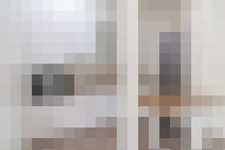 Magalhaesstraat 3 Geldrop thumbnail 9