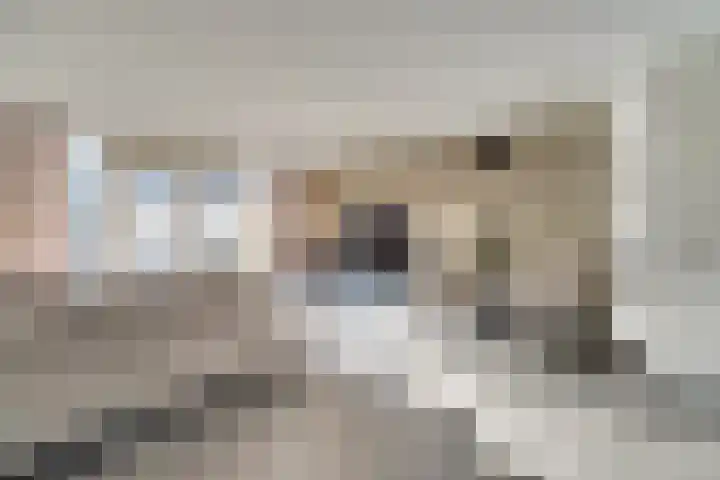 Magda Janssenstraat 20 Spijkenisse thumbnail 10