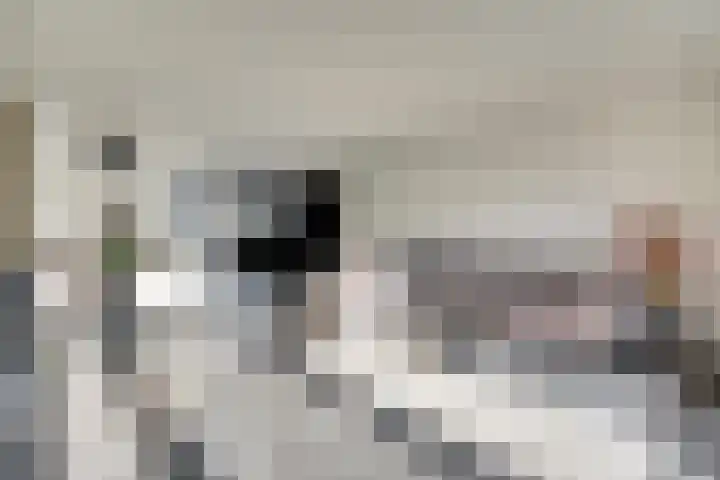 Magda Janssenstraat 20 Spijkenisse thumbnail 11
