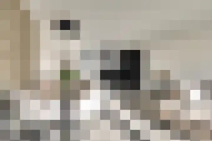 Magda Janssenstraat 20 Spijkenisse thumbnail 15