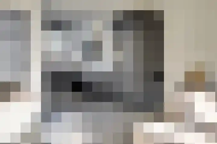 Magda Janssenstraat 20 Spijkenisse thumbnail 17
