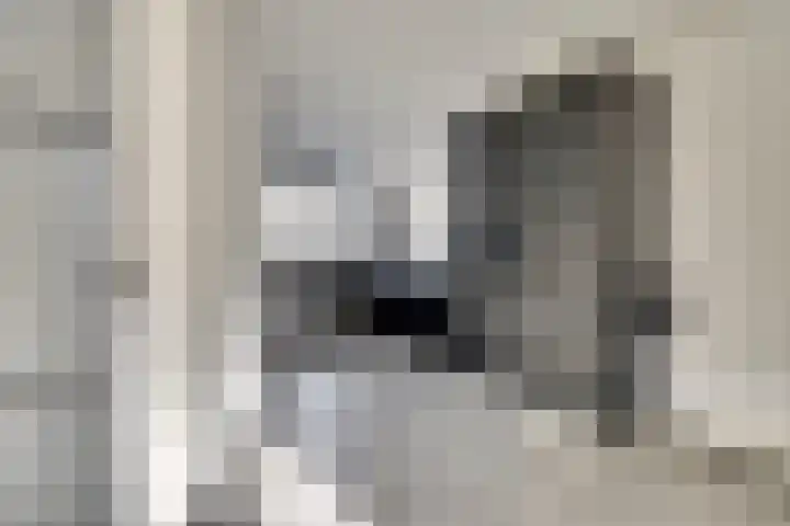 Magda Janssenstraat 20 Spijkenisse thumbnail 18