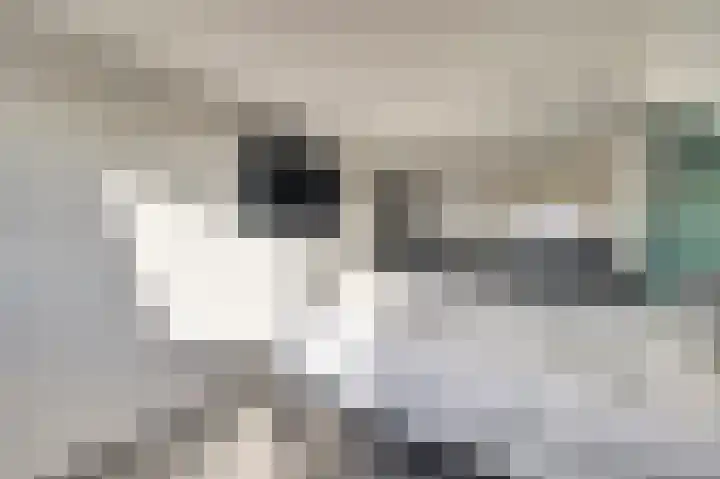 Magda Janssenstraat 20 Spijkenisse thumbnail 48