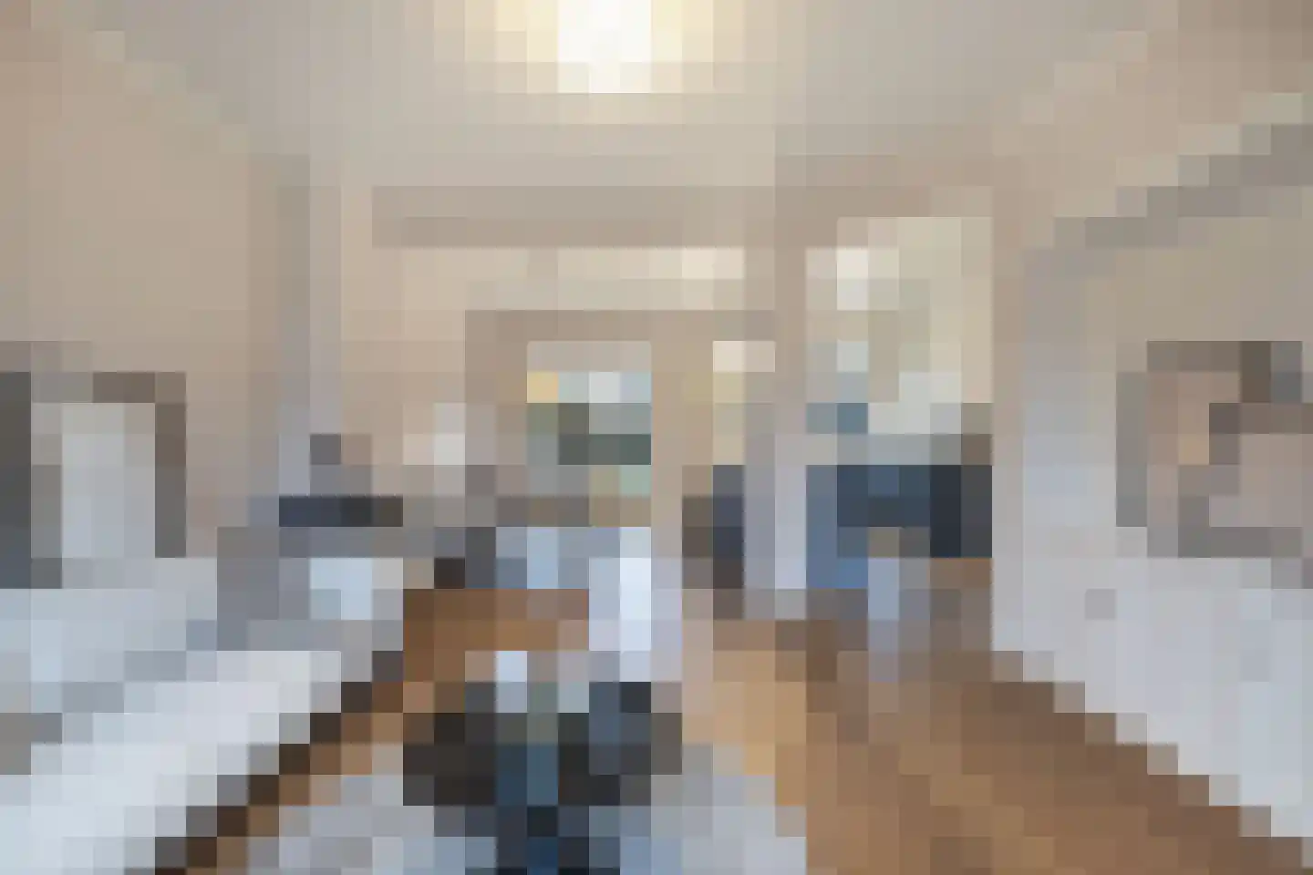 Magdaleenweg 2 Huizen thumbnail 10