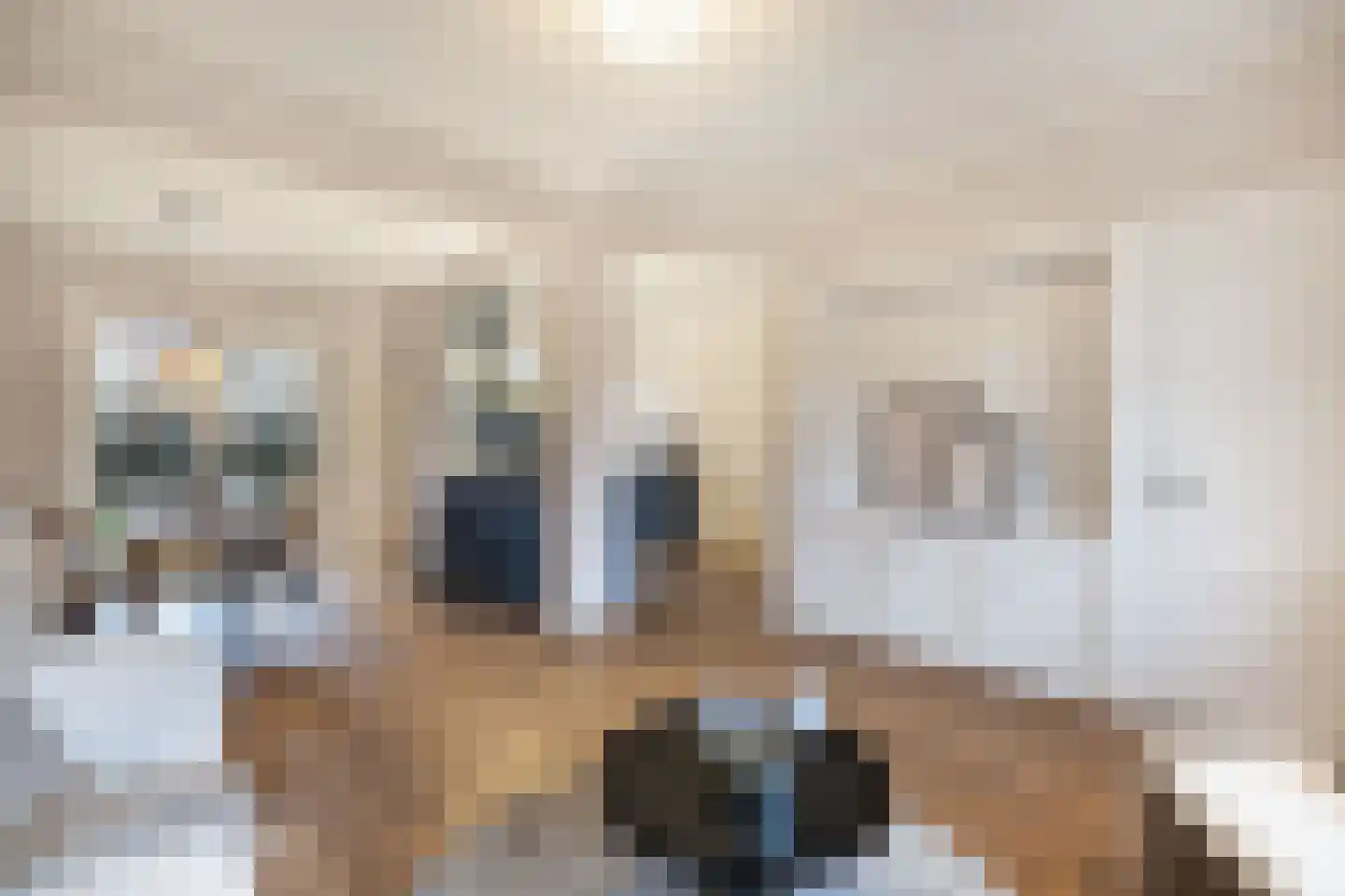 Magdaleenweg 2 Huizen thumbnail 12