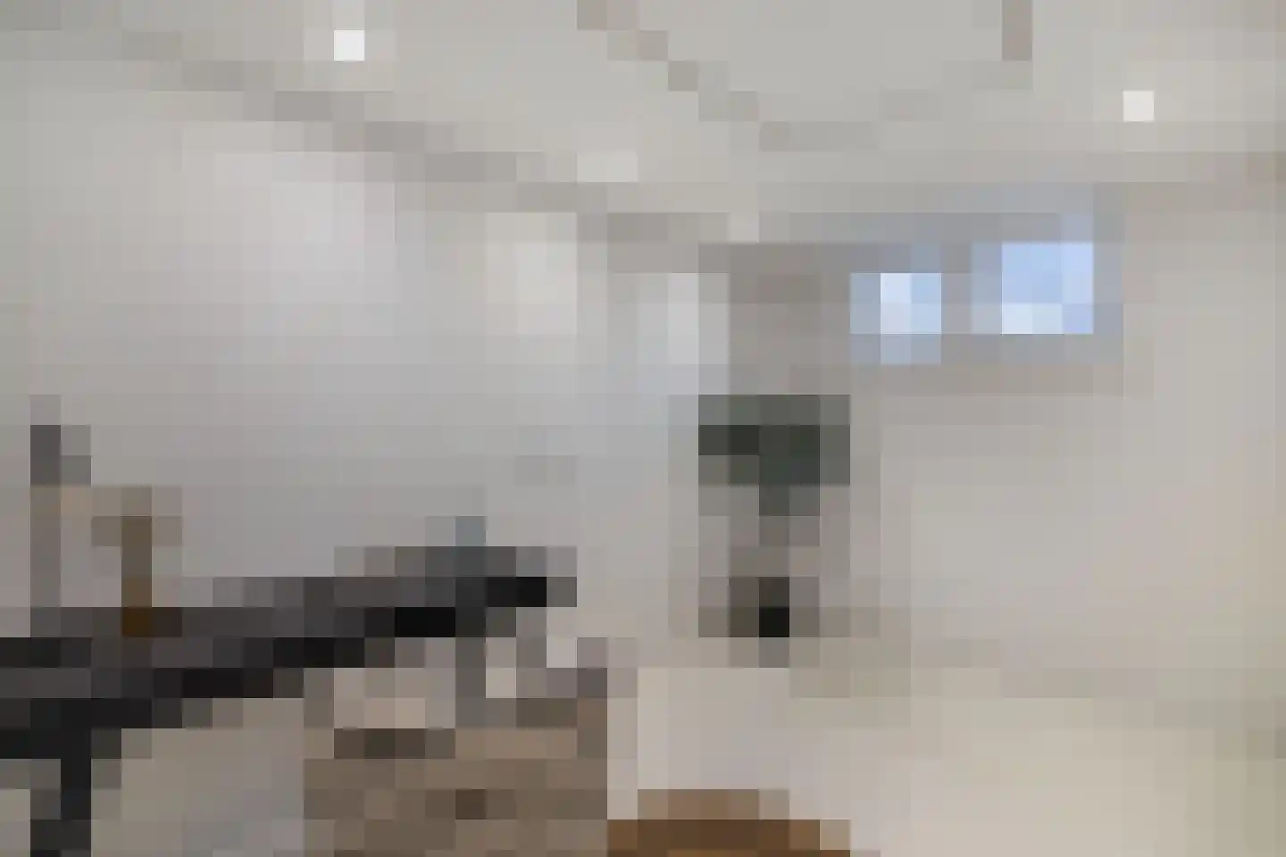 Magdaleenweg 2 Huizen thumbnail 23