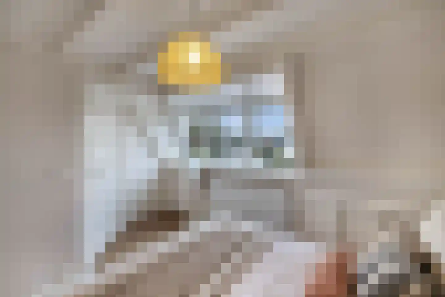 Magdaleenweg 2 Huizen thumbnail 29