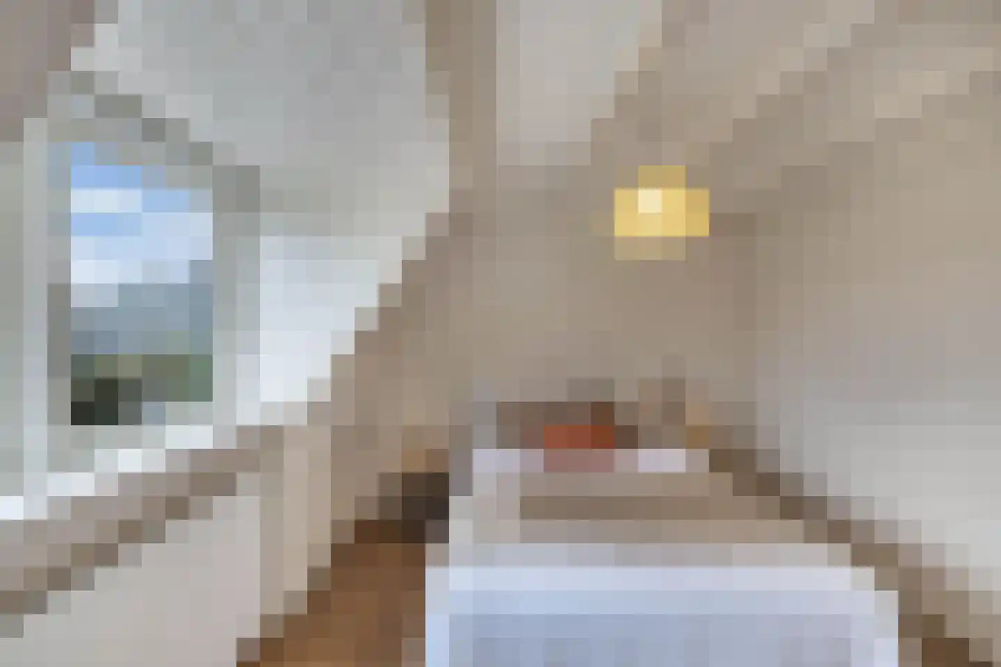 Magdaleenweg 2 Huizen thumbnail 30