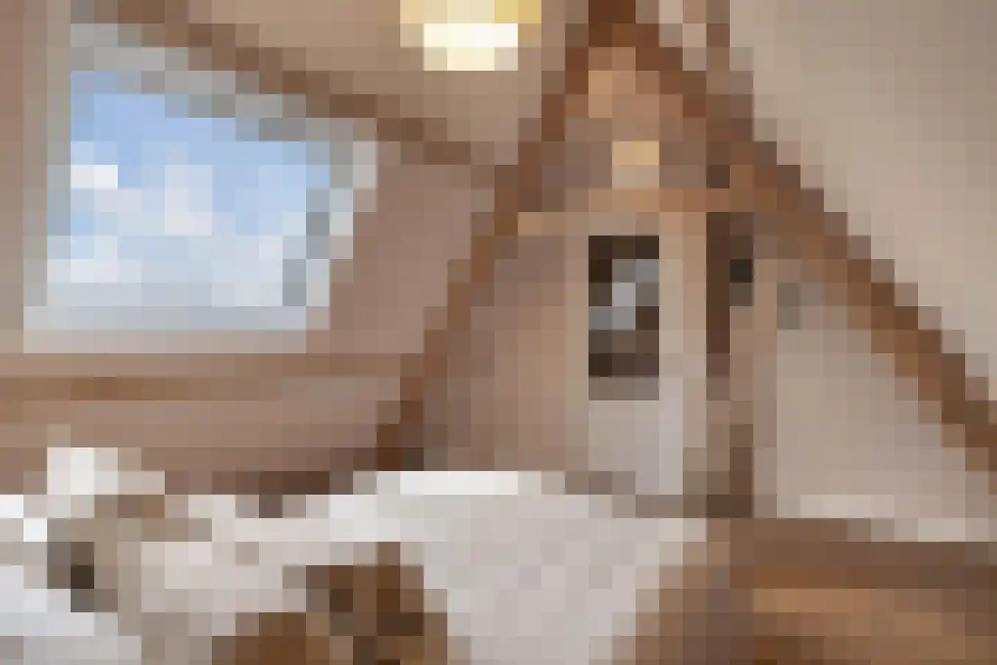 Magdaleenweg 2 Huizen thumbnail 37
