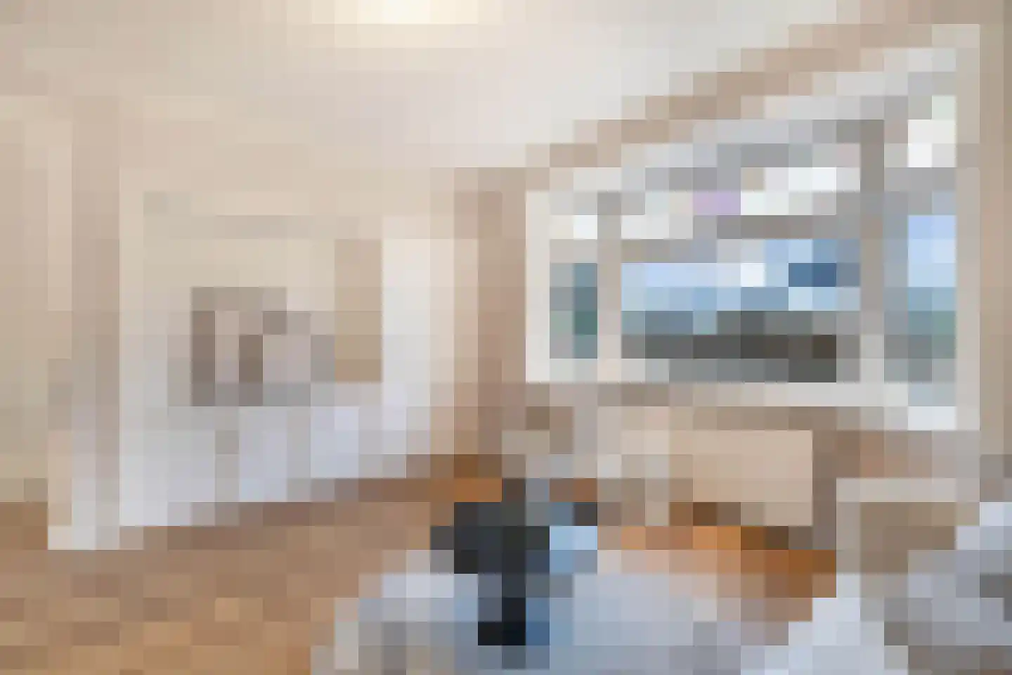 Magdaleenweg 2 Huizen thumbnail 8