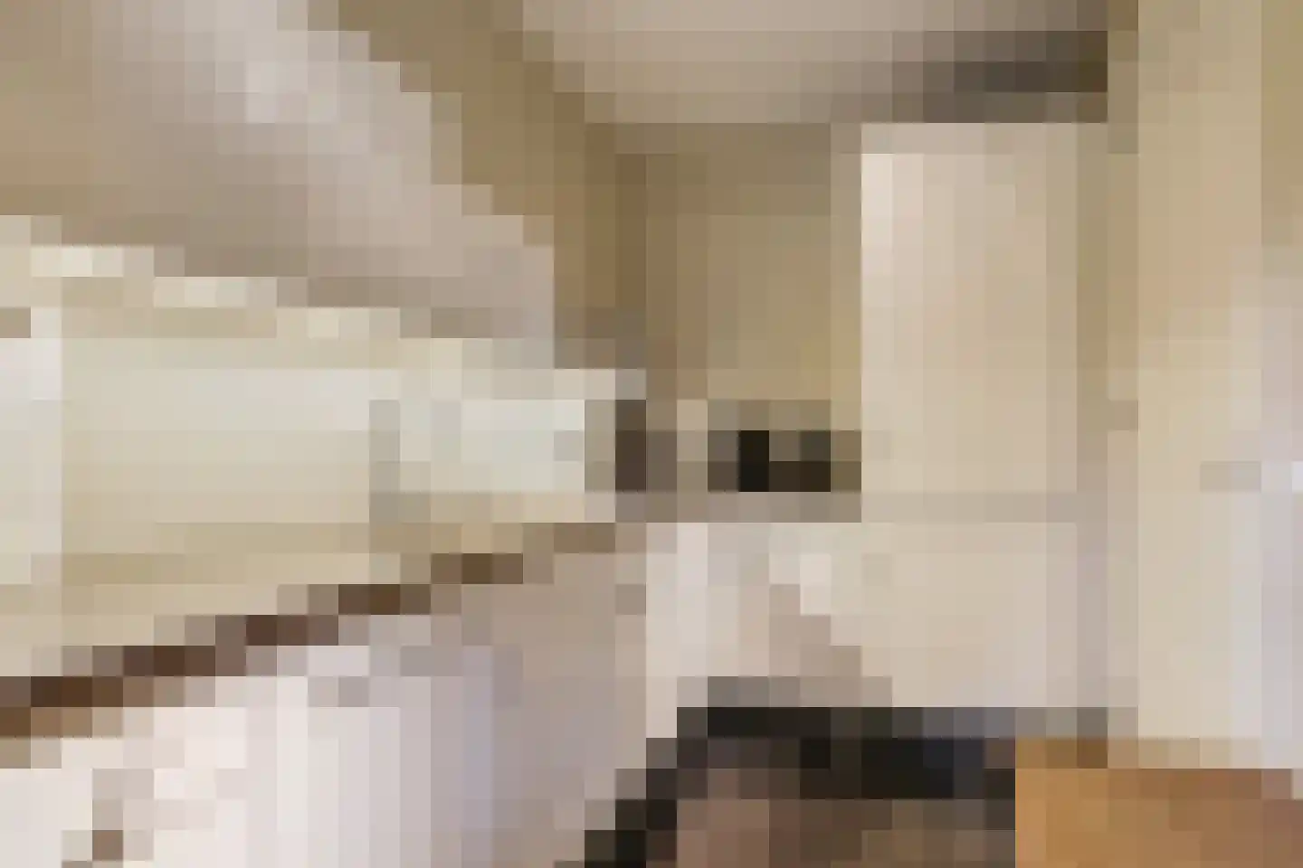 Magdalena 19 Zetten thumbnail 33