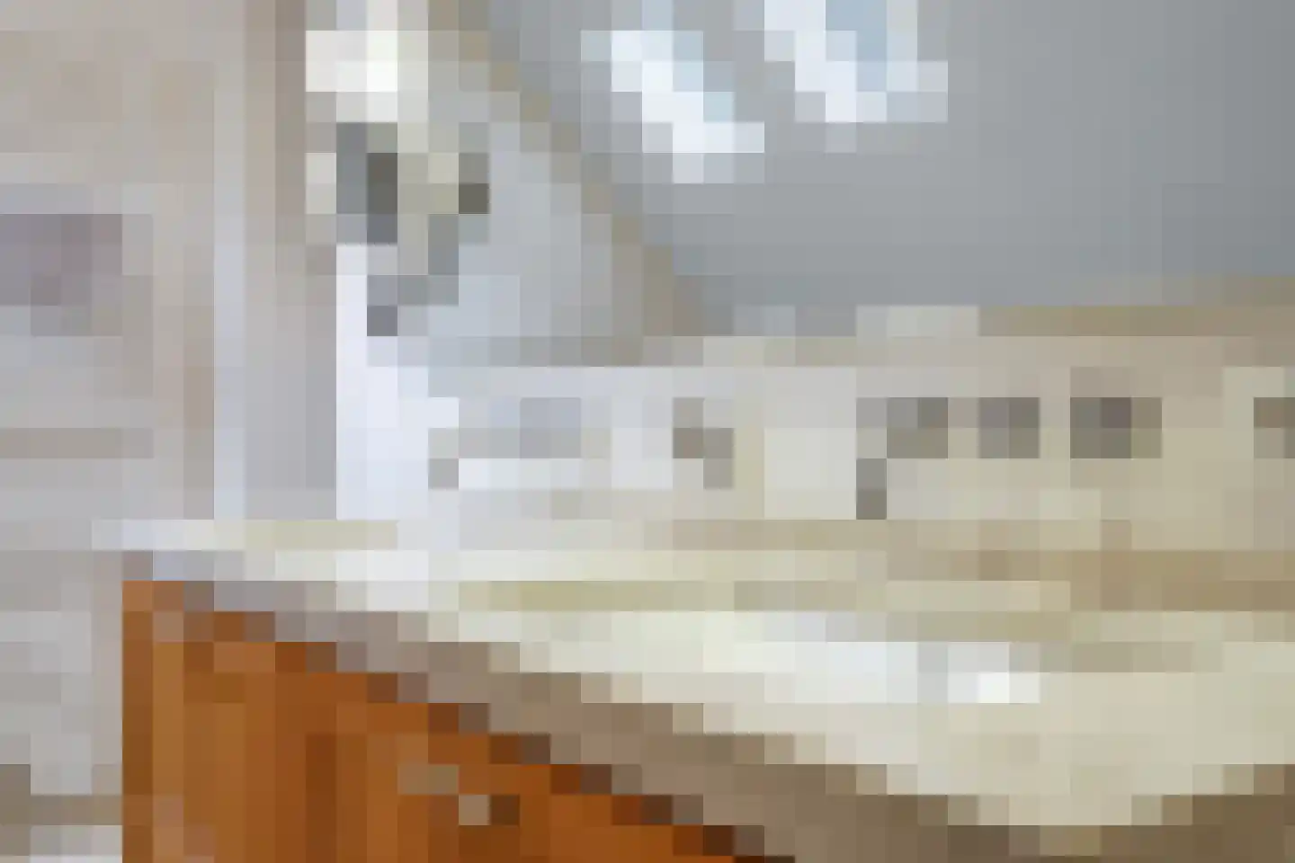 Magdalena 19 Zetten thumbnail 57