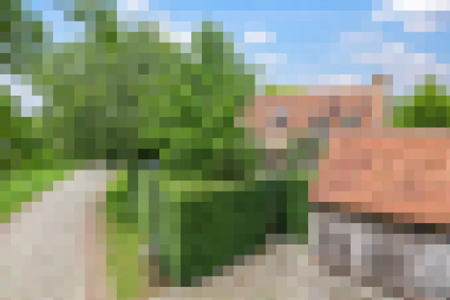 Magdalena 19 Zetten thumbnail 6