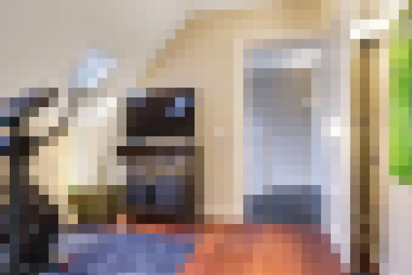 Magdalena 19 Zetten thumbnail 64