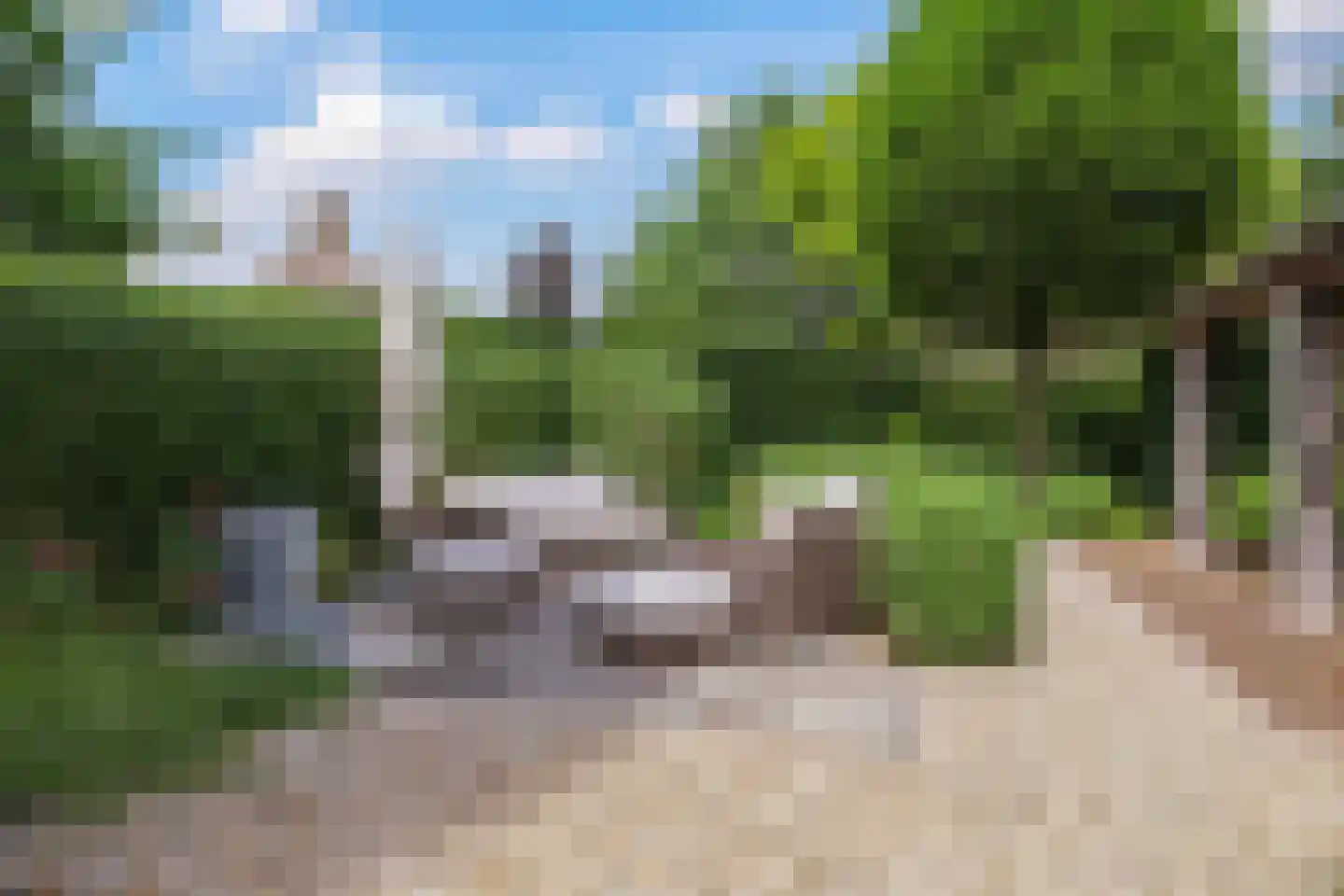 Magdalena 19 Zetten thumbnail 82