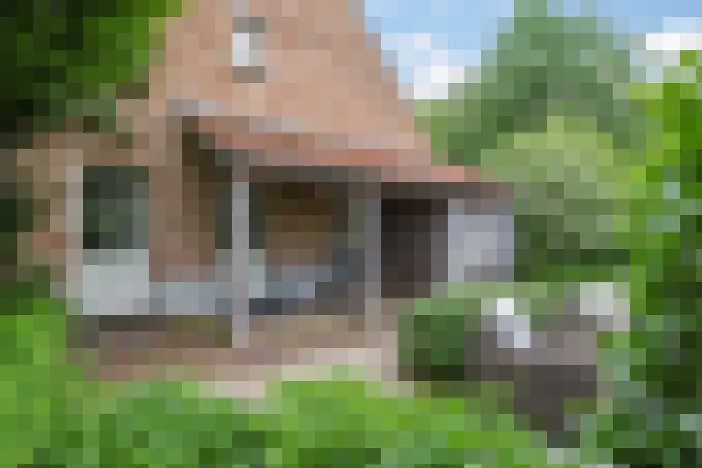Magdalena 19 Zetten thumbnail 83
