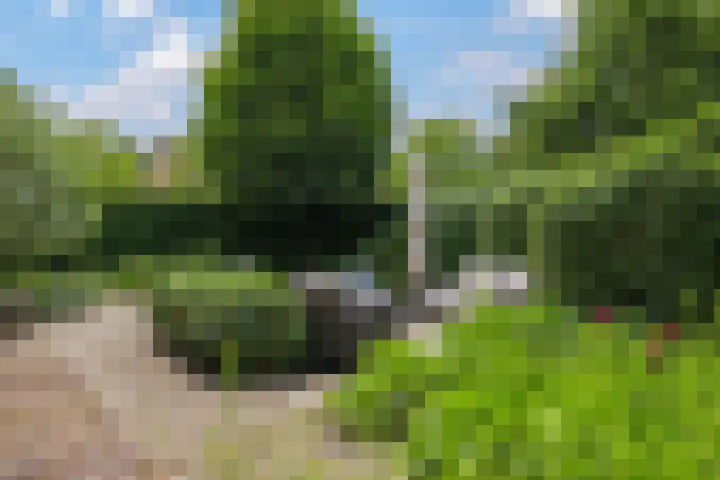 Magdalena 19 Zetten thumbnail 86