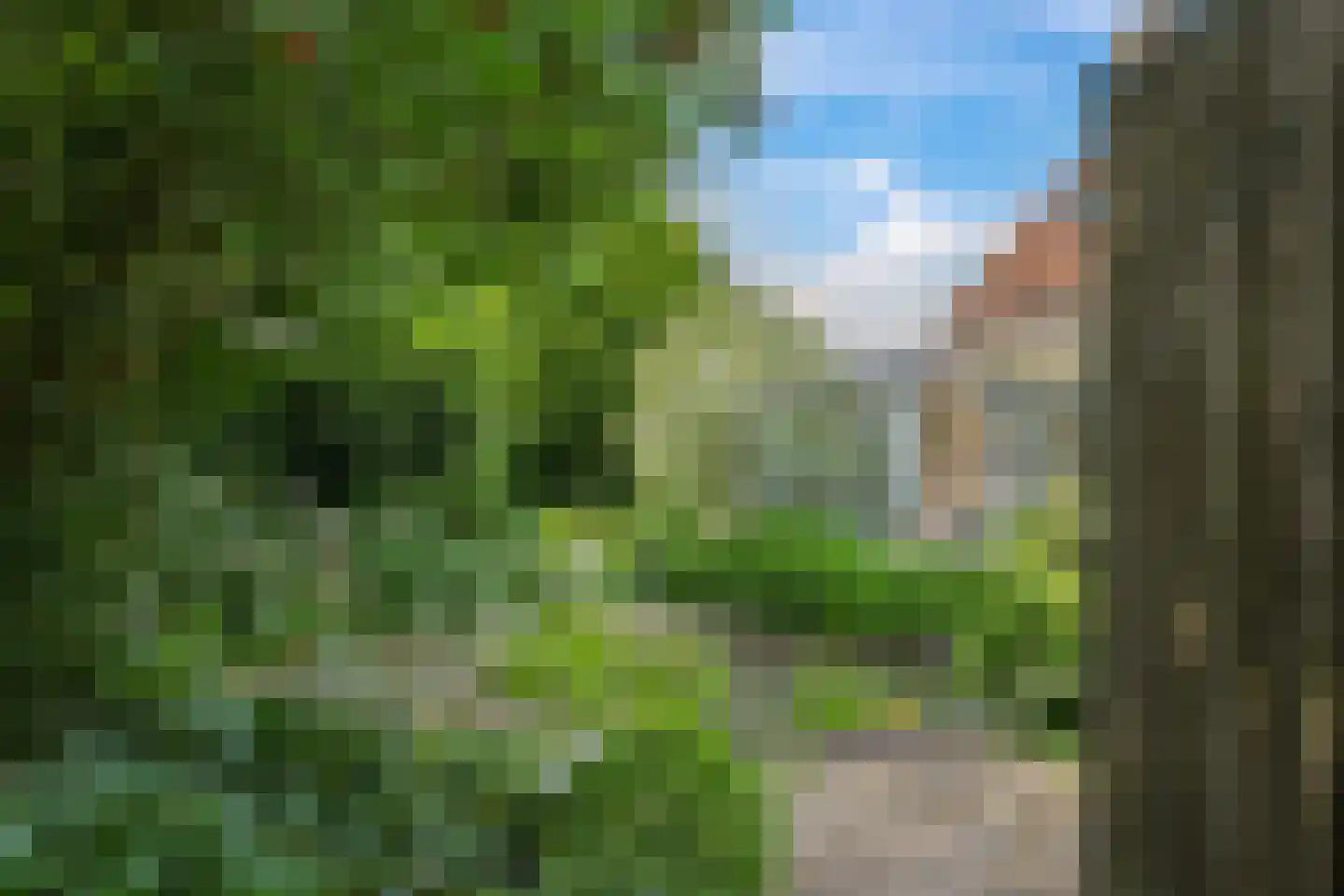 Magdalena 19 Zetten thumbnail 92
