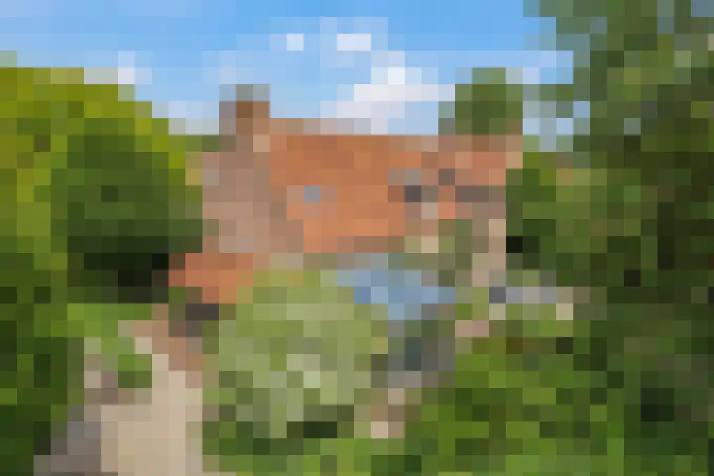Magdalena 19 Zetten thumbnail 93