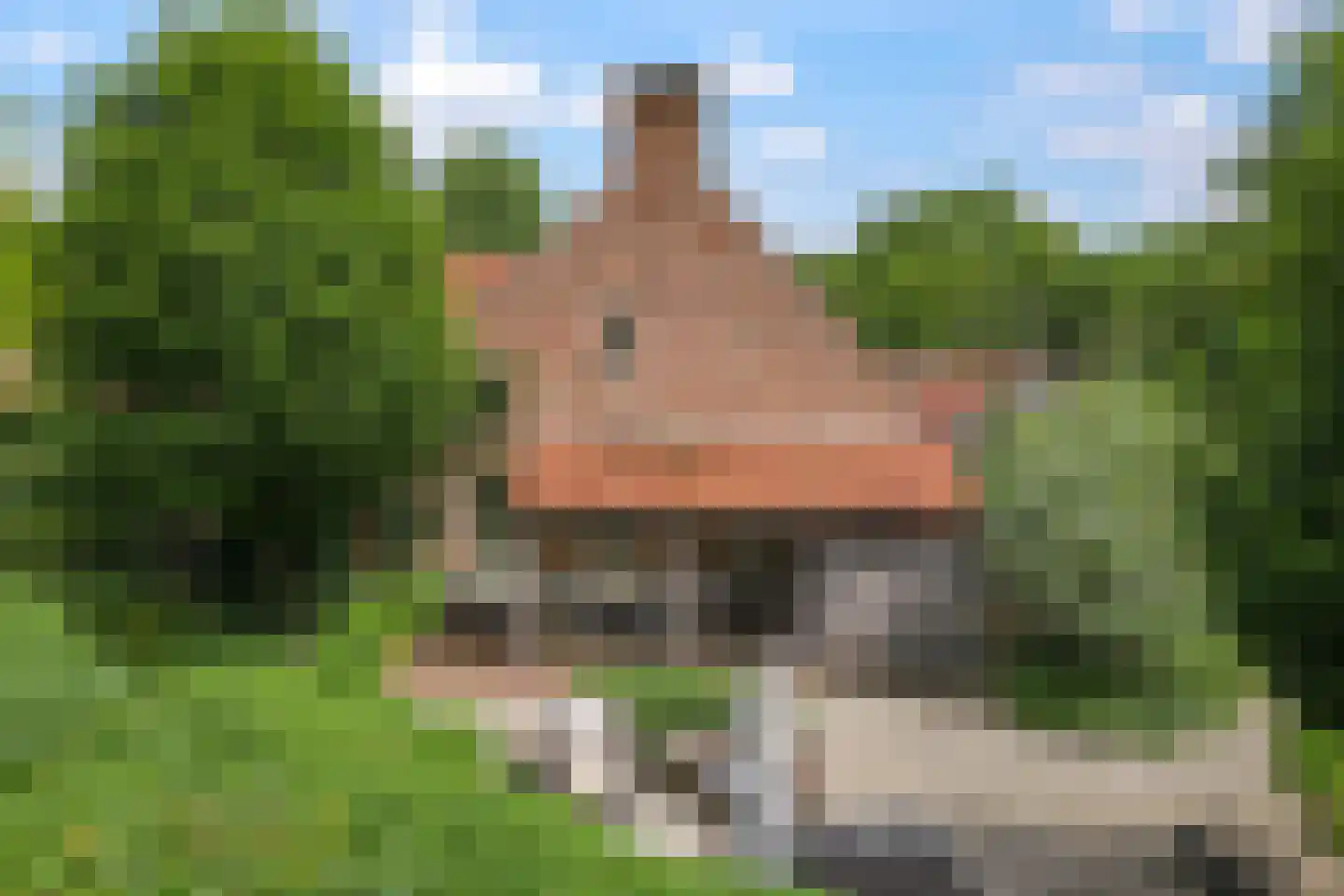 Magdalena 19 Zetten thumbnail 94