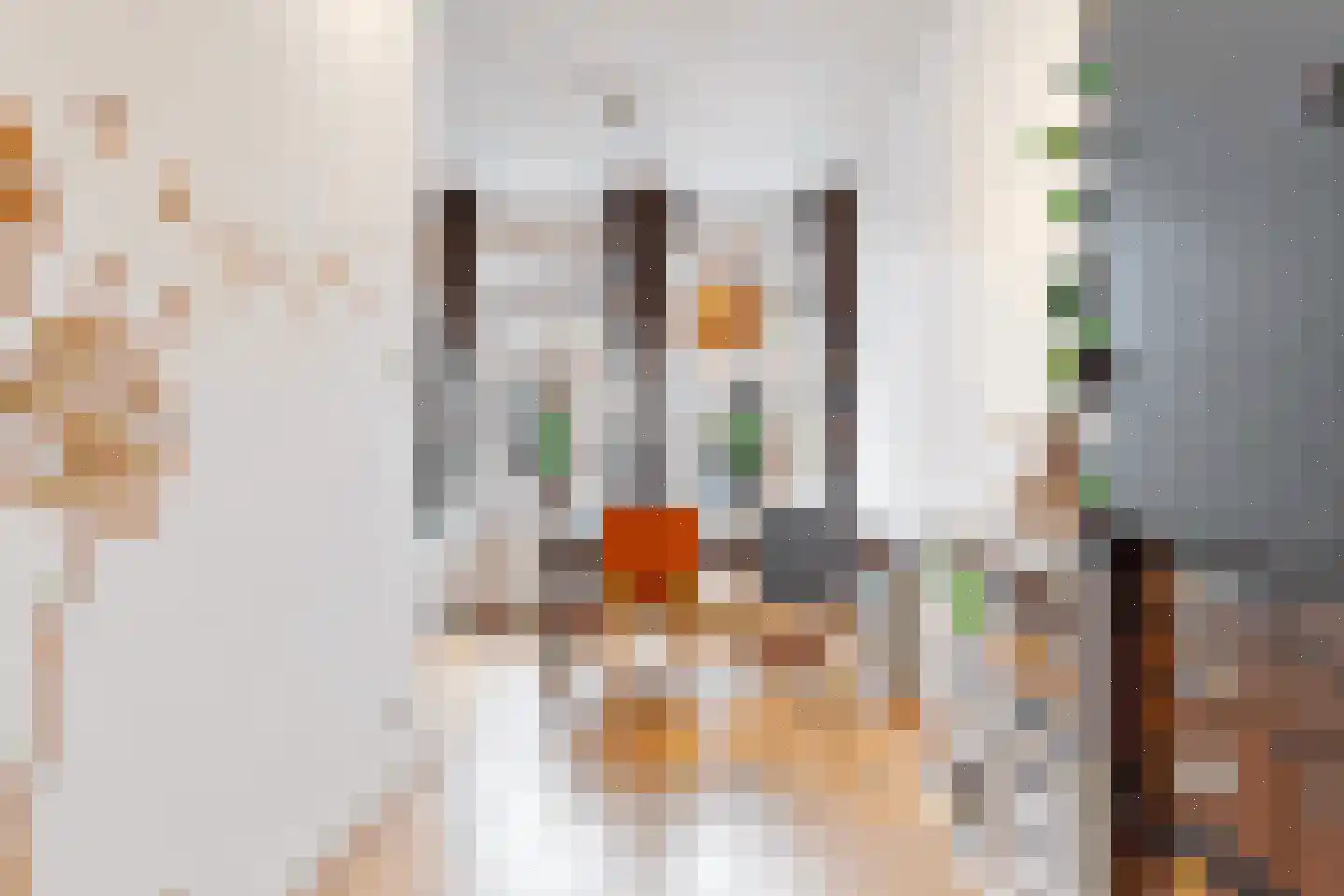Magdalena Moonsstraat 66 Leiden thumbnail 11
