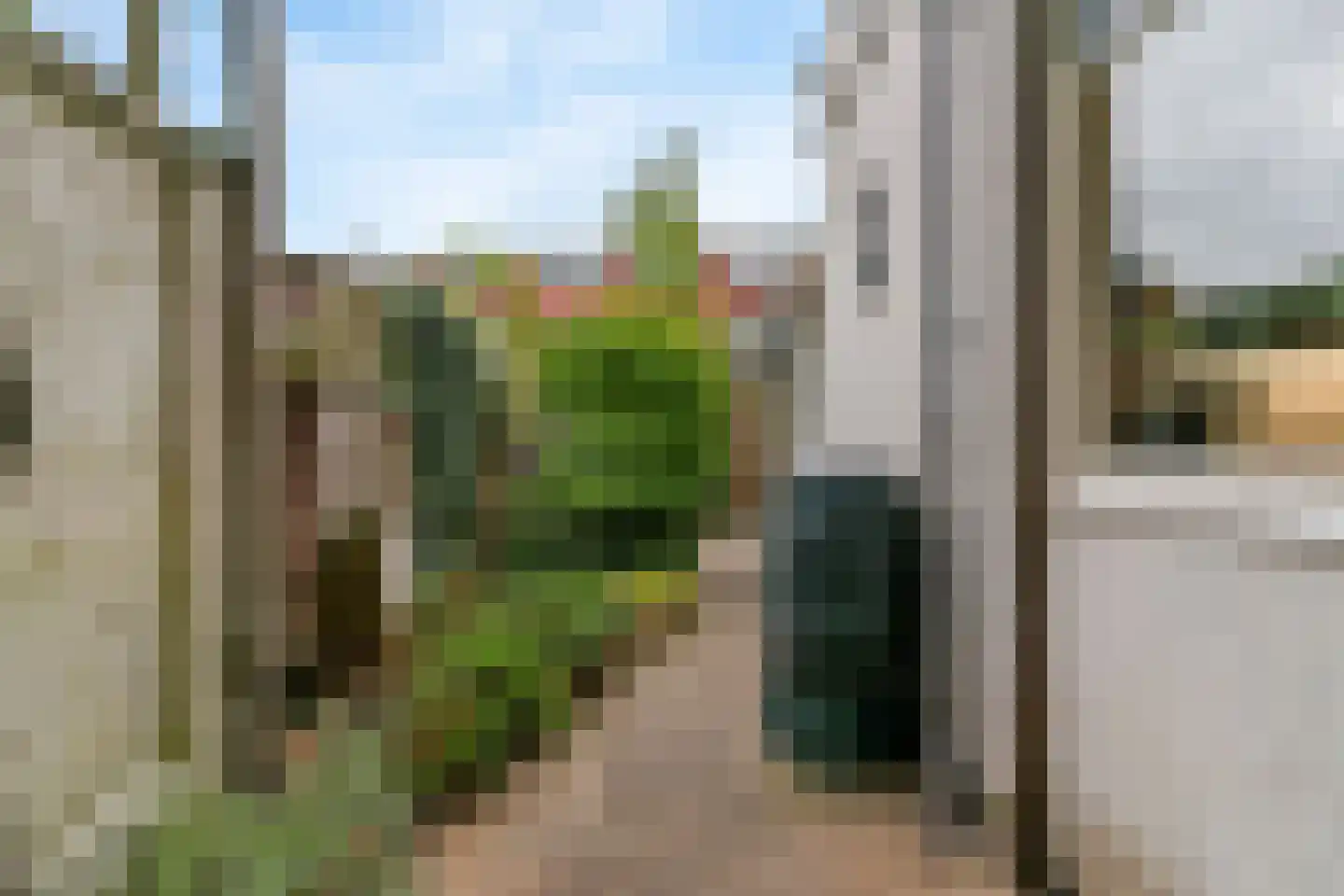 Magdalena Moonsstraat 66 Leiden thumbnail 30