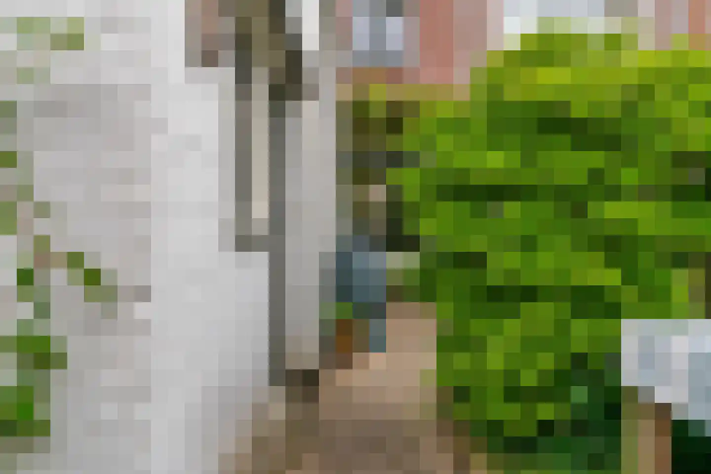 Magdalena Moonsstraat 66 Leiden thumbnail 34