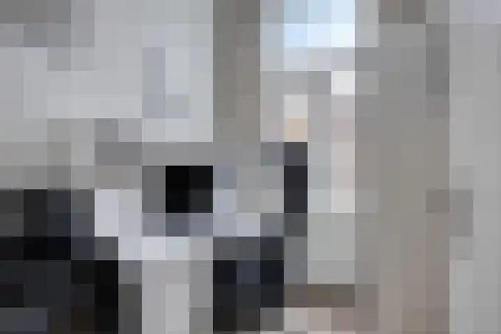 Magdalena Moonsstraat 7 A Leiden thumbnail 34