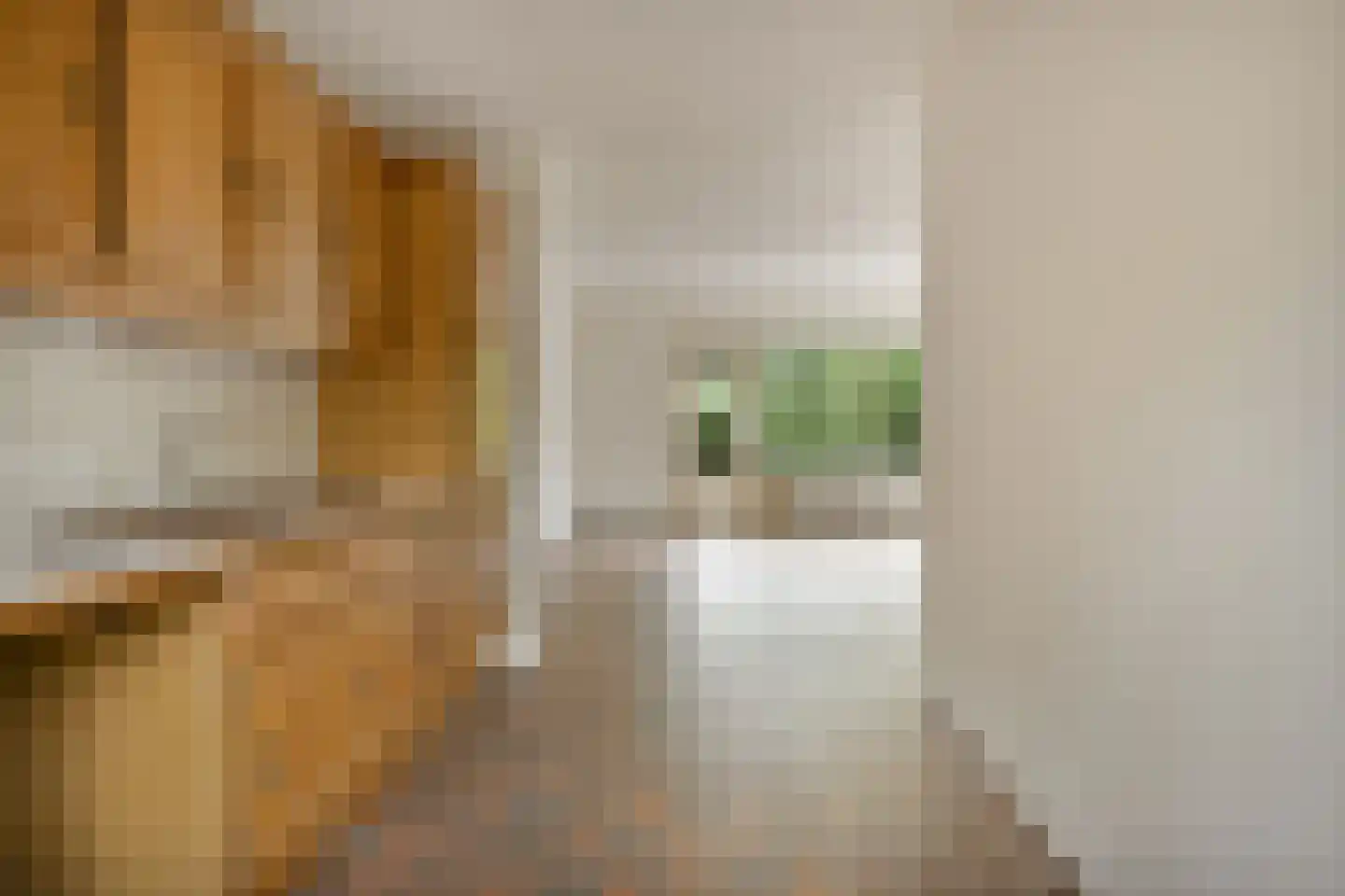 Magdalena van Weerdenburglaan 32 Egmond aan den Hoef thumbnail 10