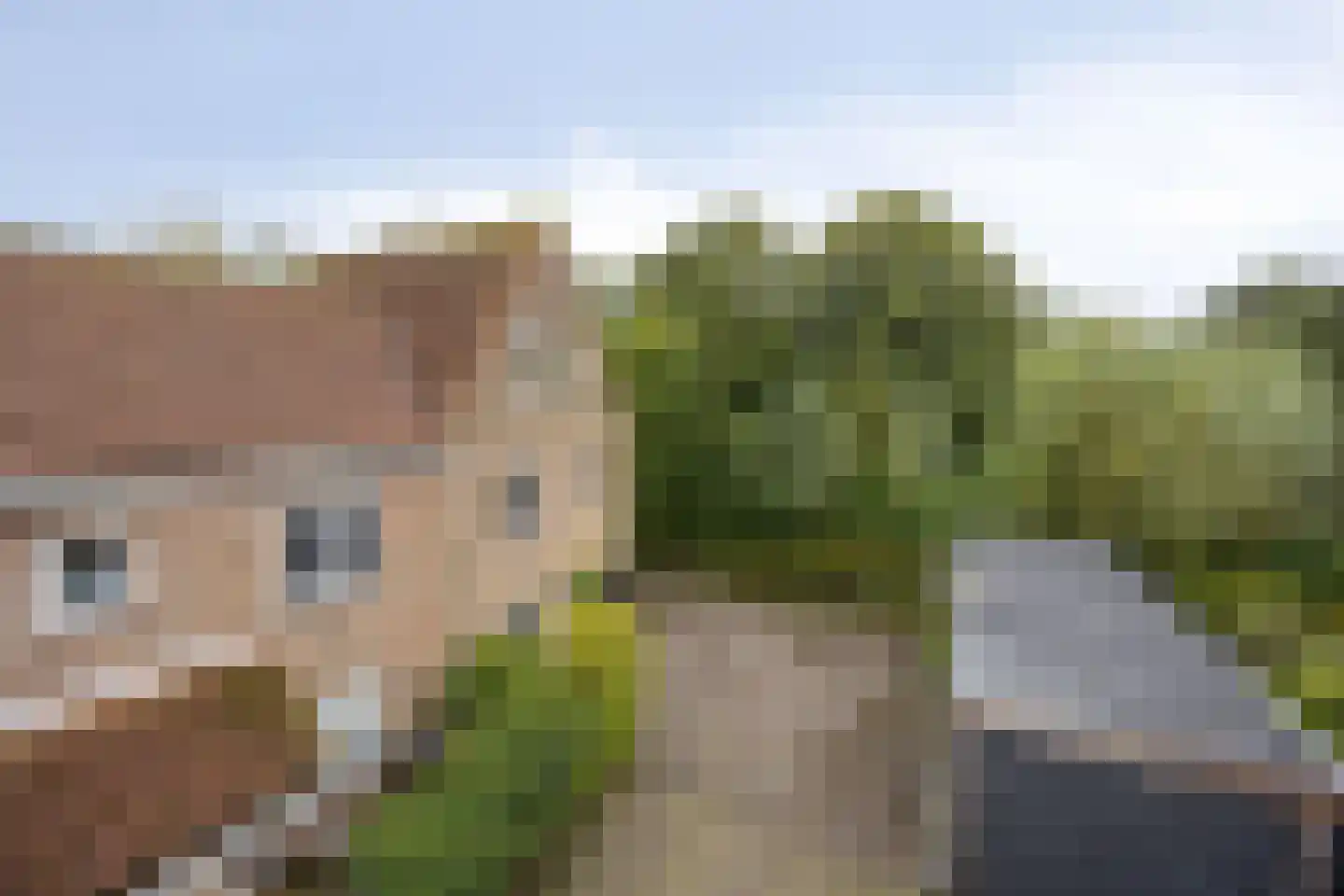 Magdalena van Weerdenburglaan 32 Egmond aan den Hoef thumbnail 4
